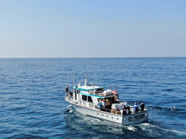 The El Patron under way